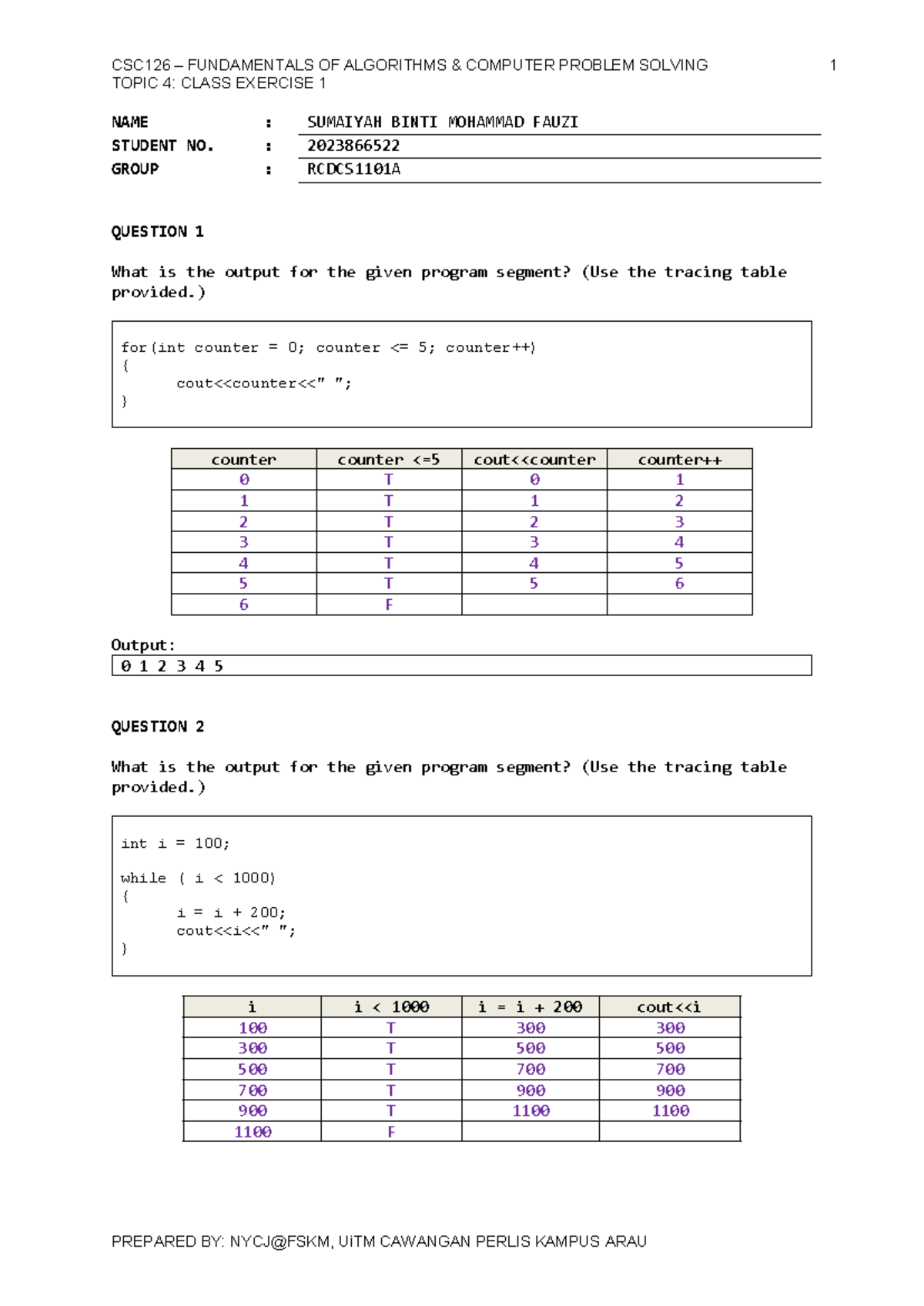 RCDCS1101A Topic 4 Class Exercise - Practice Program Output Analysis ...