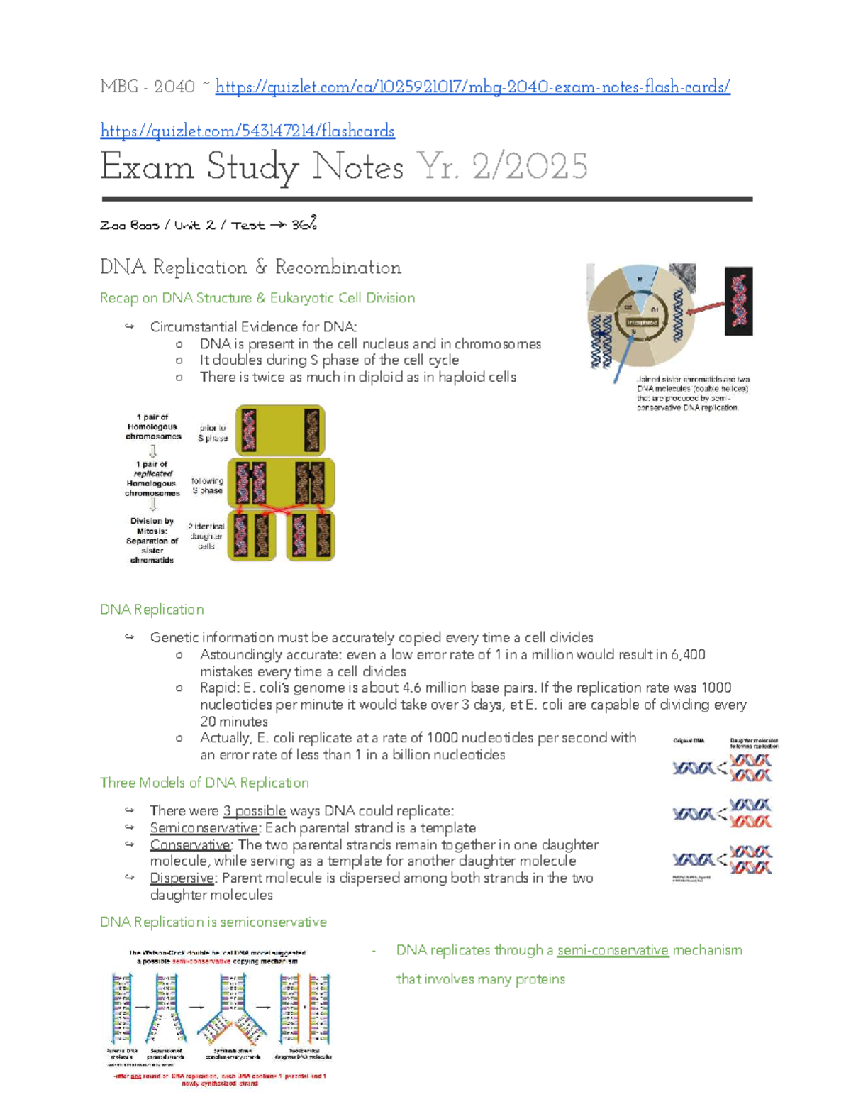 MBG 2040 Final Exam Study Notes: DNA &RNA Replication Overview - Studocu