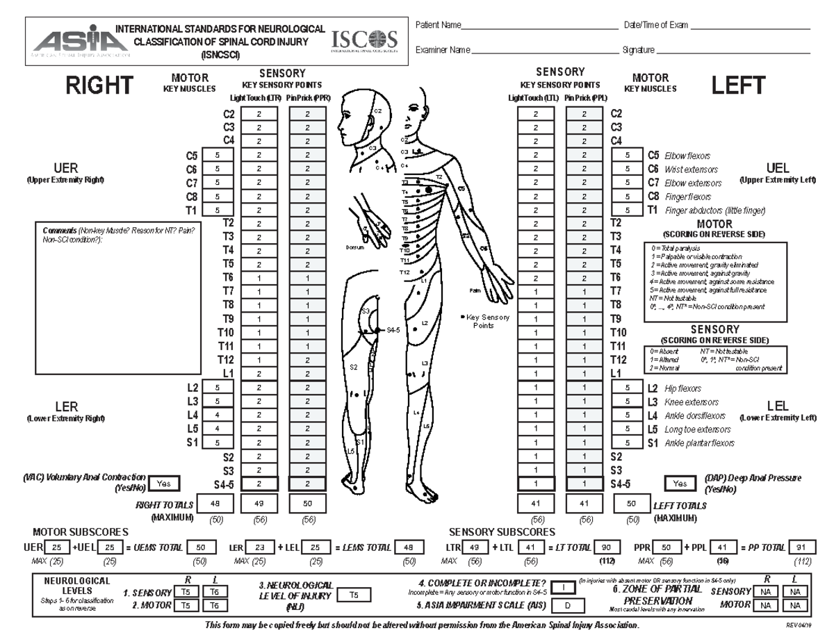 Isncsci (91) - Informe ASIA SCIM - REV 04/ 19 This form may be copied ...