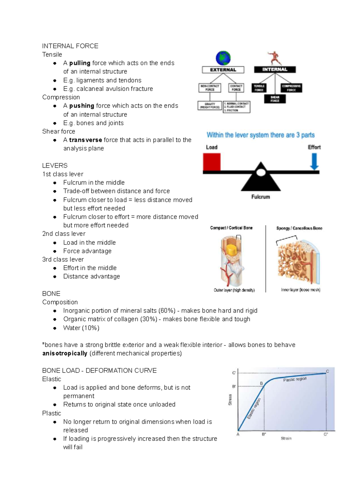 Functional Anatomy Summary: Internal Forces and Muscle Mechanics - Studocu