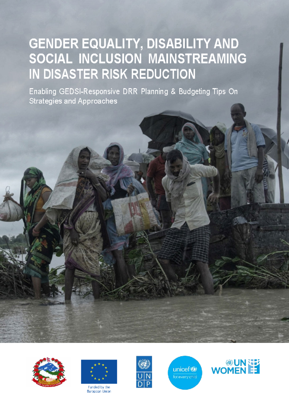 Np c949 05 Gender Equality, Disability & Social Inclusion in DRR ...