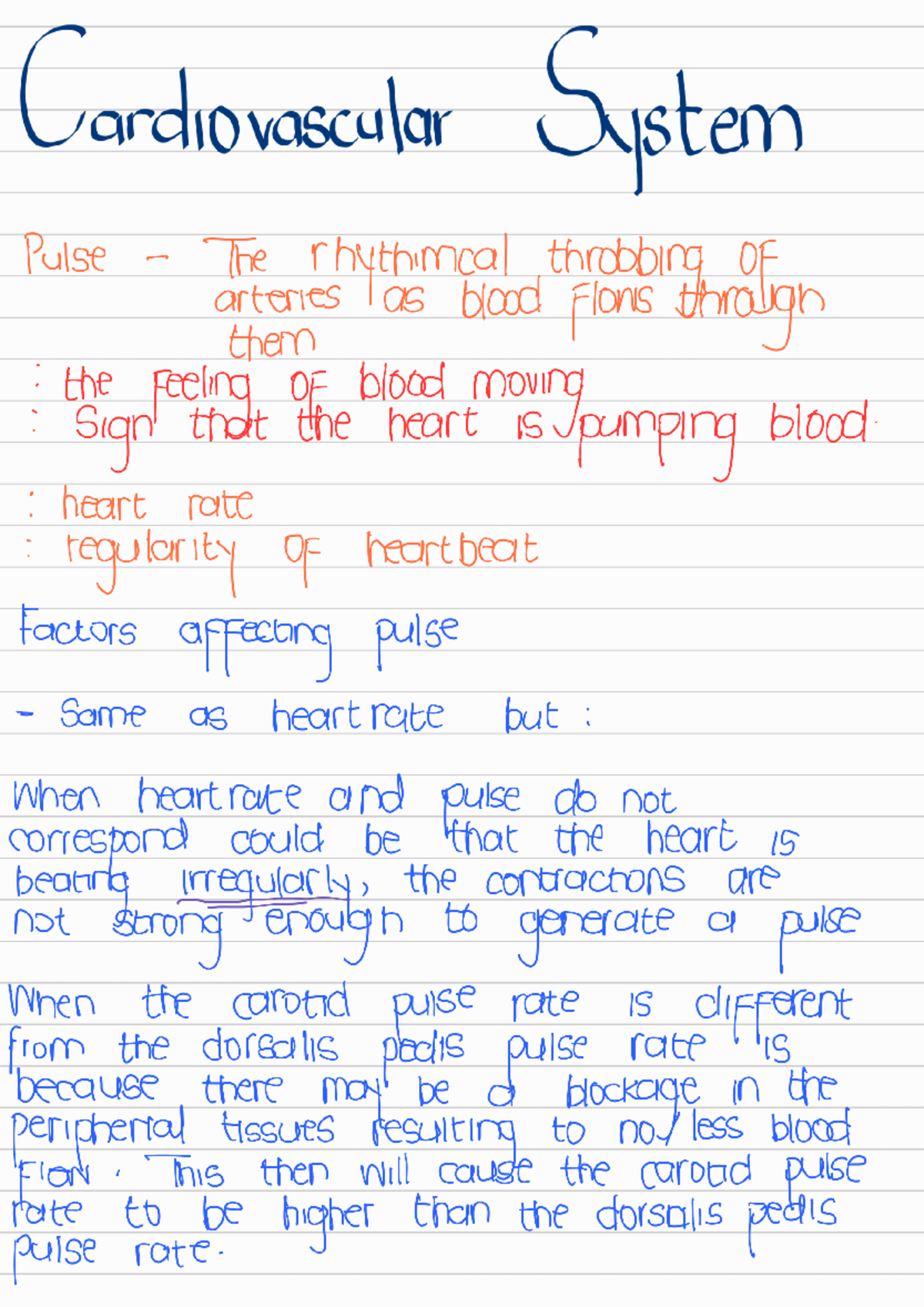 Cardiovascular System Overview - Key Concepts - Studocu