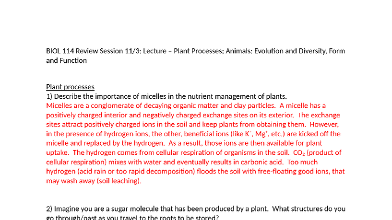 BIOL 114 Review: Plant Processes & Animal Evolution - Fall 2025 - Studocu