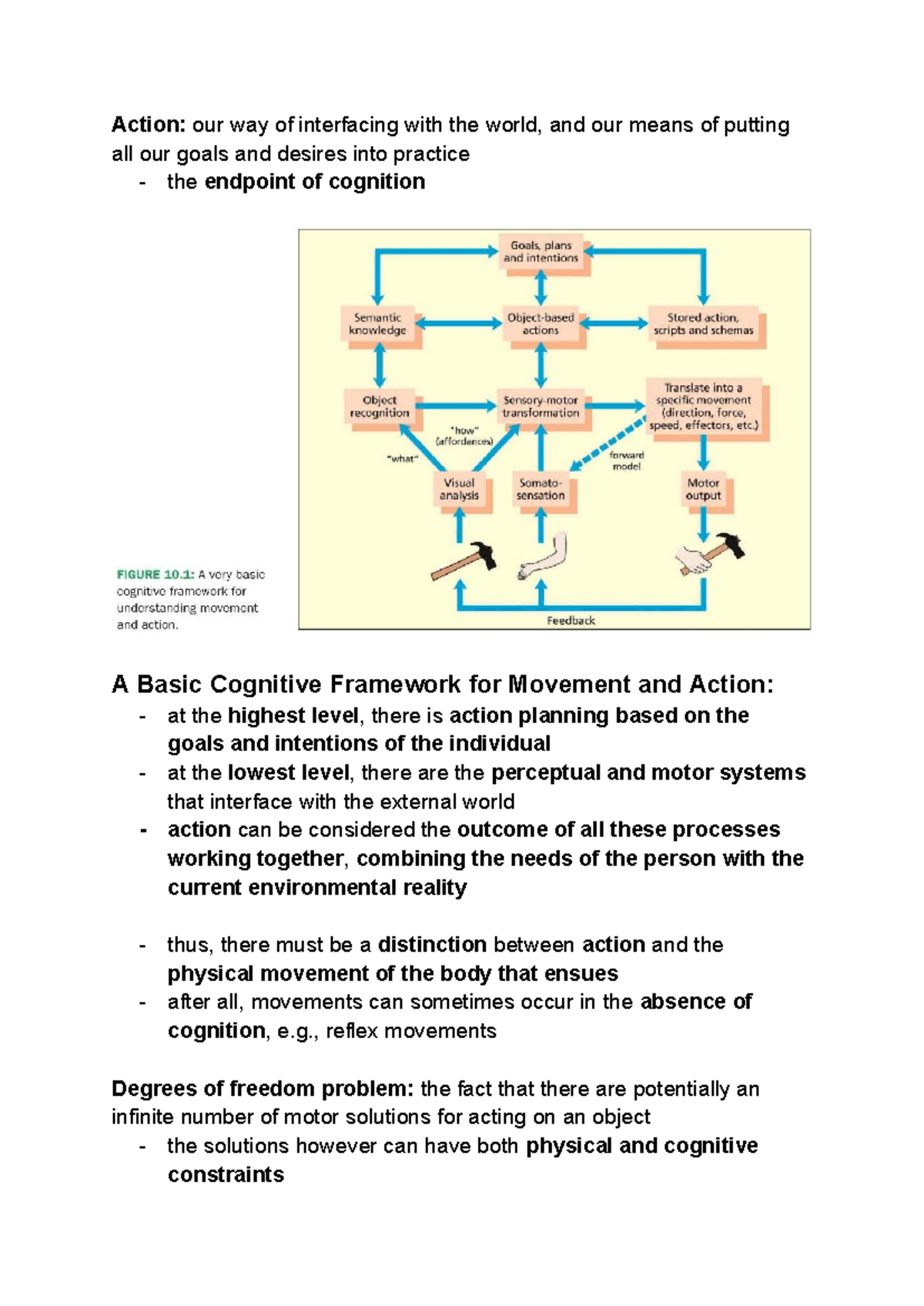 Lecture 5 - The Acting Brain: Understanding Movement and Cognition ...