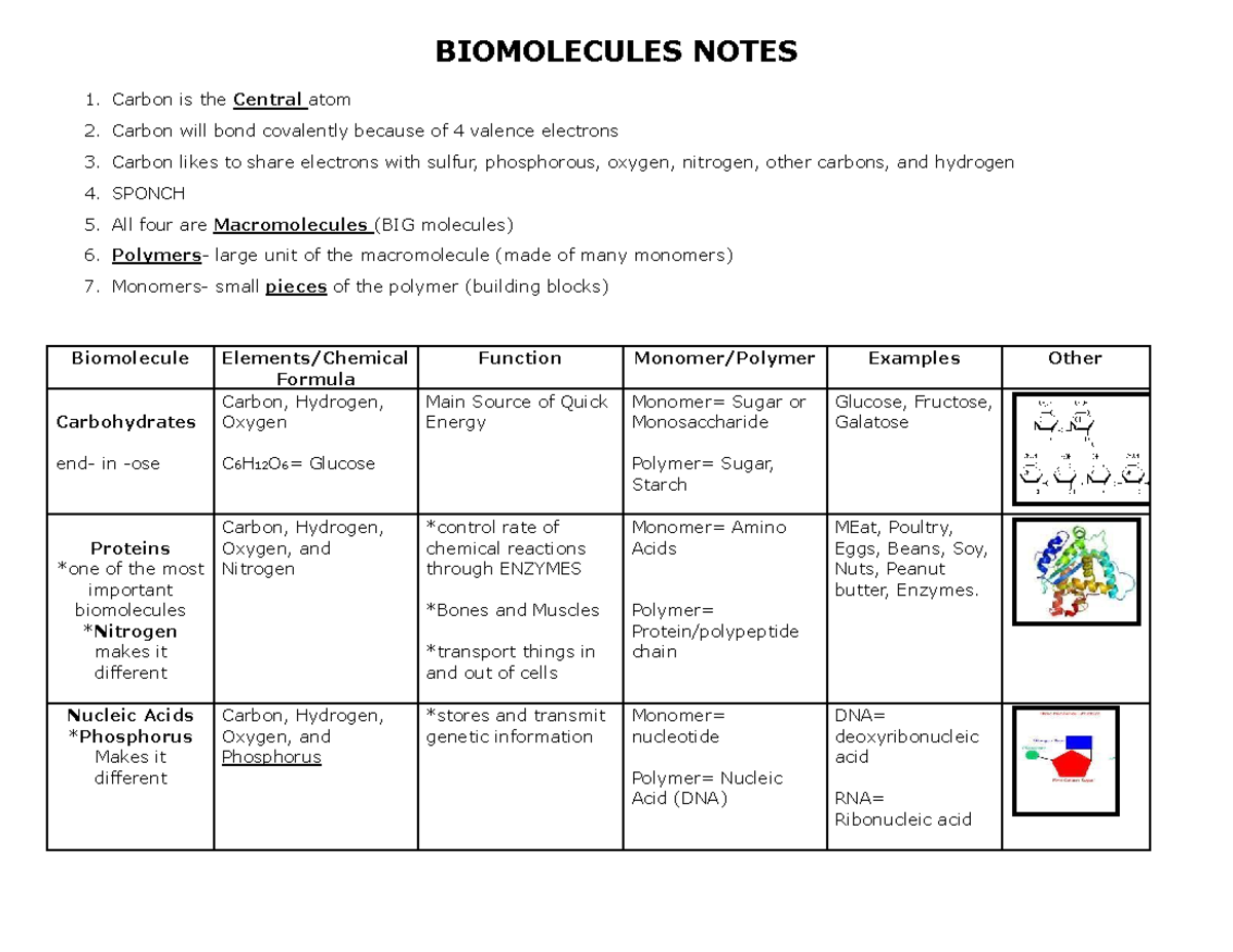 Biomolecules Overview Chart (Biology 101) - Studocu