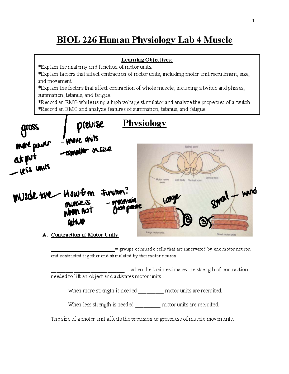BIOL 226 Physiology Lab 4: Motor Units & Muscle Contraction Analysis ...