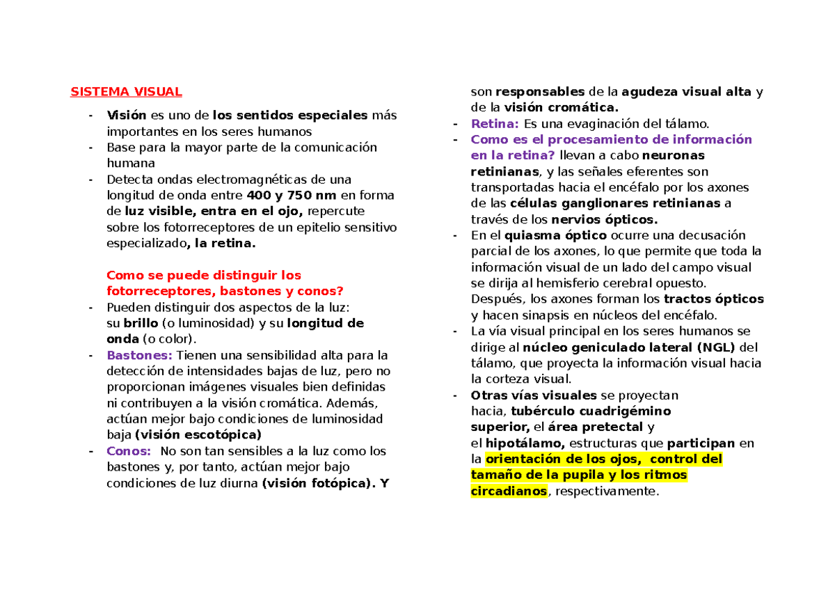 Sistema Visual: Fisiología y Procesamiento de la Información Visual ...