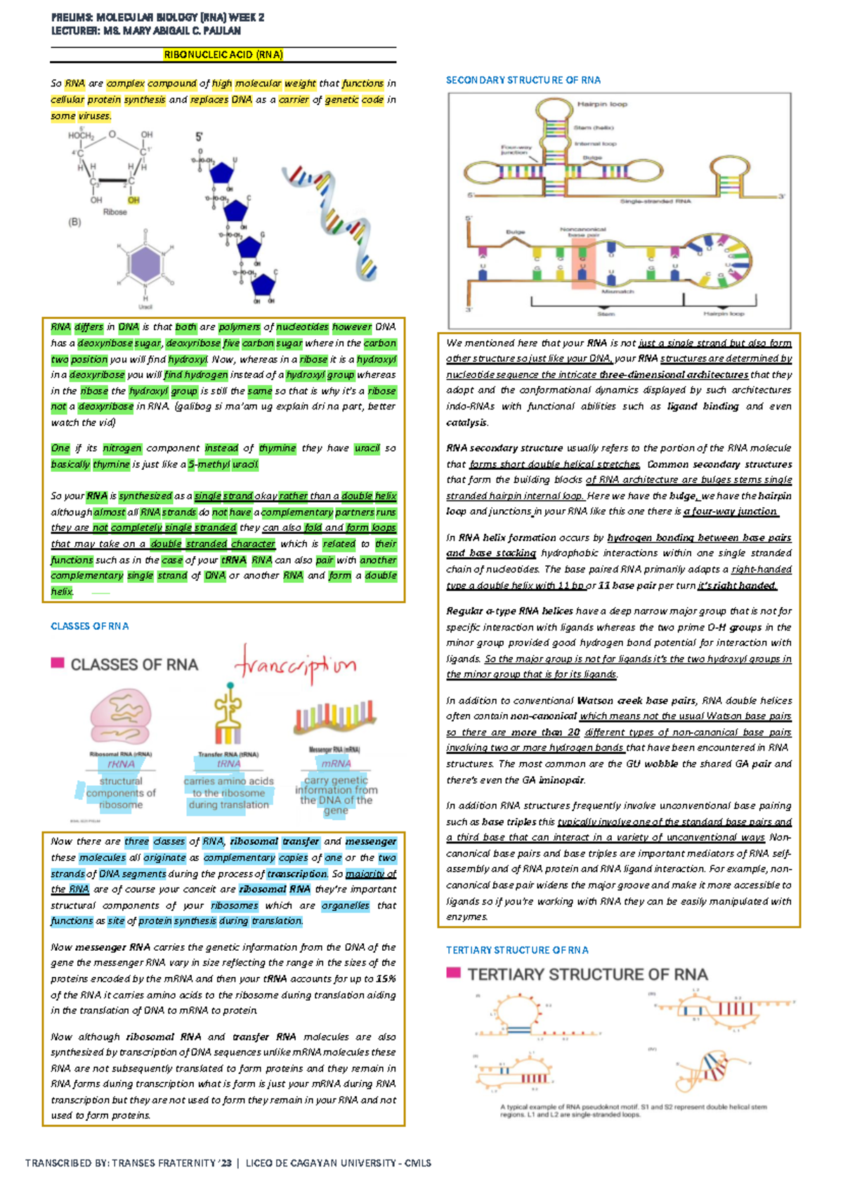 WEEK 2 RNA MOL - notes - LECTURER: MS. MARY ABIGAIL C. PAULAN So RNA ...