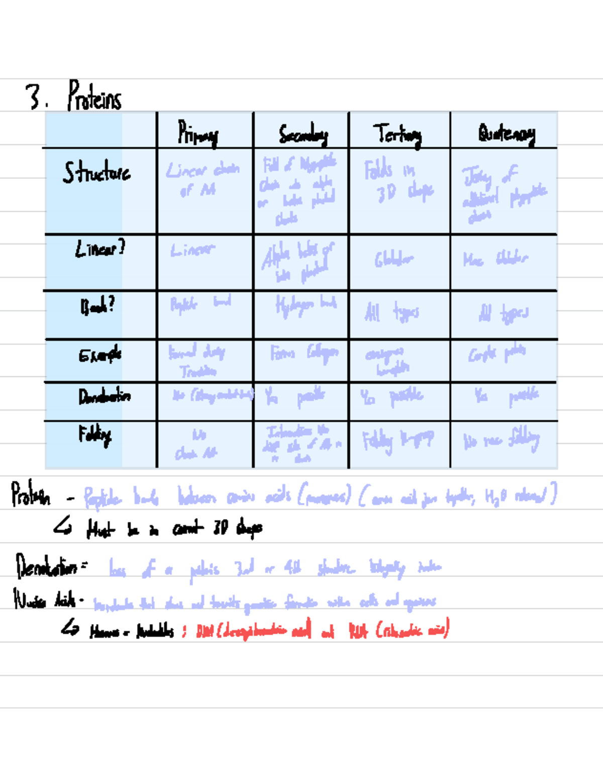 Gen Bio 115 Exam Prep - Protein Structure & Nucleic Acids Notes - Studocu