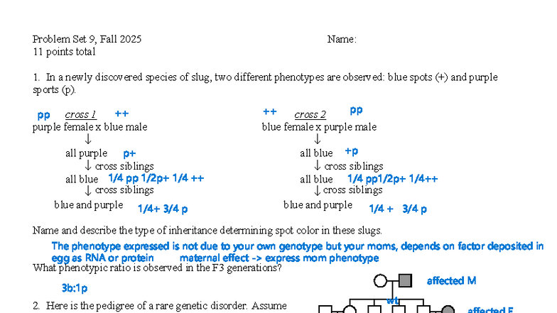 Problem Set 09 (Fall 2025) - Genetics Inheritance & Mapping - Studocu