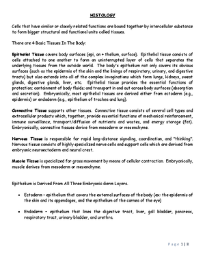PDF Midterm - Connective Tissue - Copy - CONNECTIVE TISSUE Connective ...
