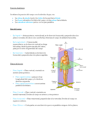 Perfiles de TCD4 - Warning: TT: undefined function: 32 Pintos, Araceli ...