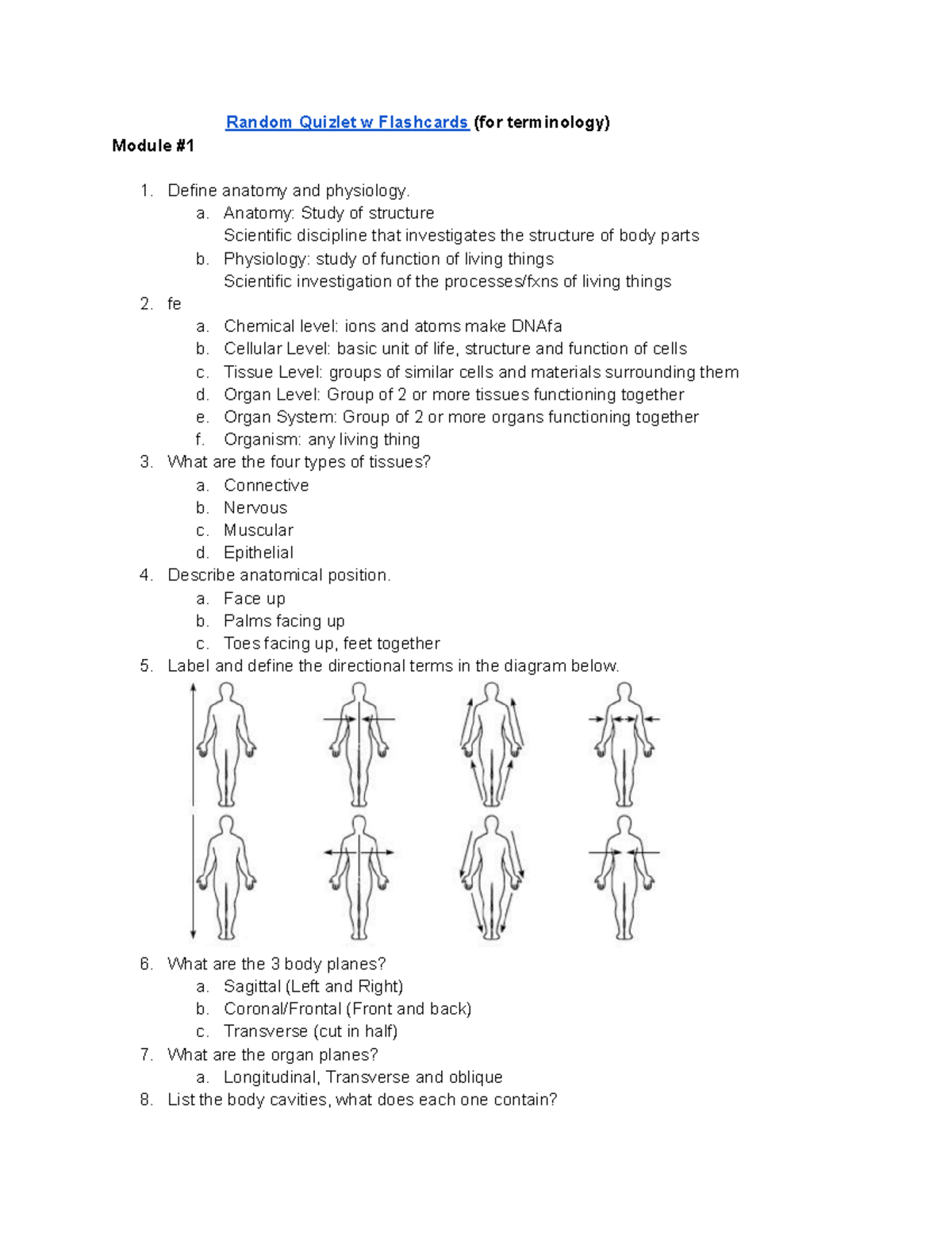 KIN 101: Anatomy & Physiology Quizlet Flashcards for Terminology - Studocu