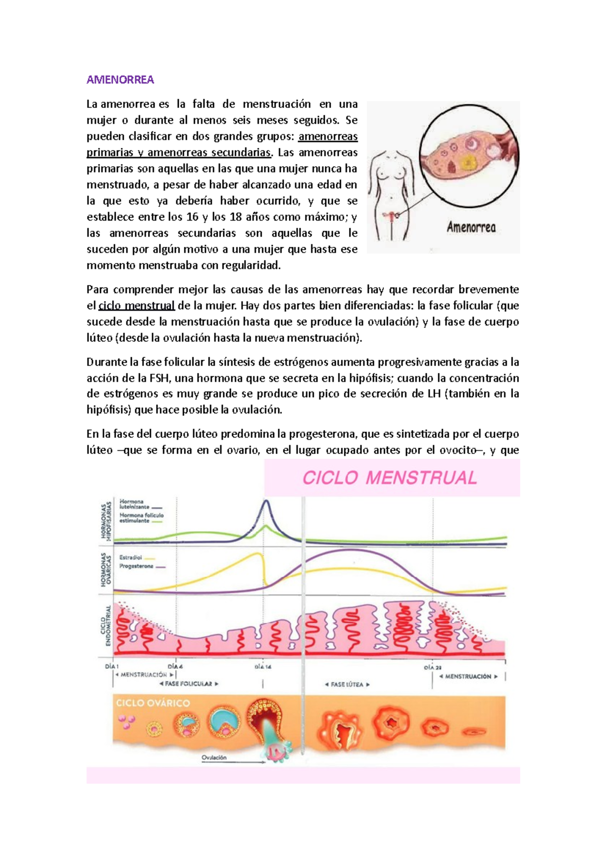 Amenorrea y Metrorragia Disfuncional: Causas y Diagnóstico Clave - Document Preview