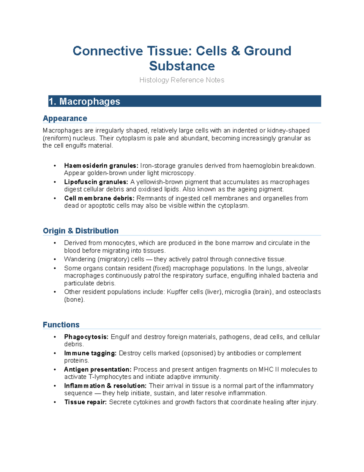Connective Tissue Histology Reference Notes: Cells & Functions - Studocu