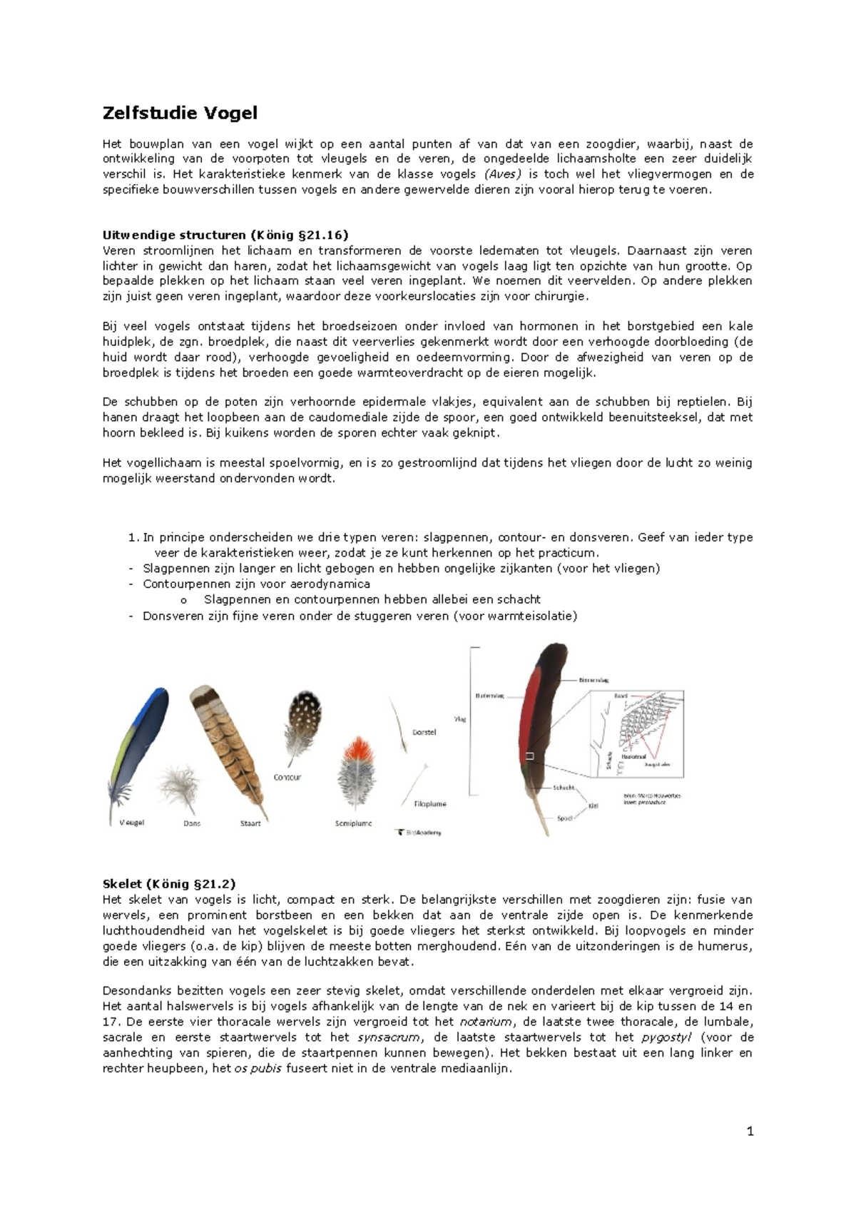 Zelfstudie 9 Aves - Anatomische en Fysiologische Kenmerken