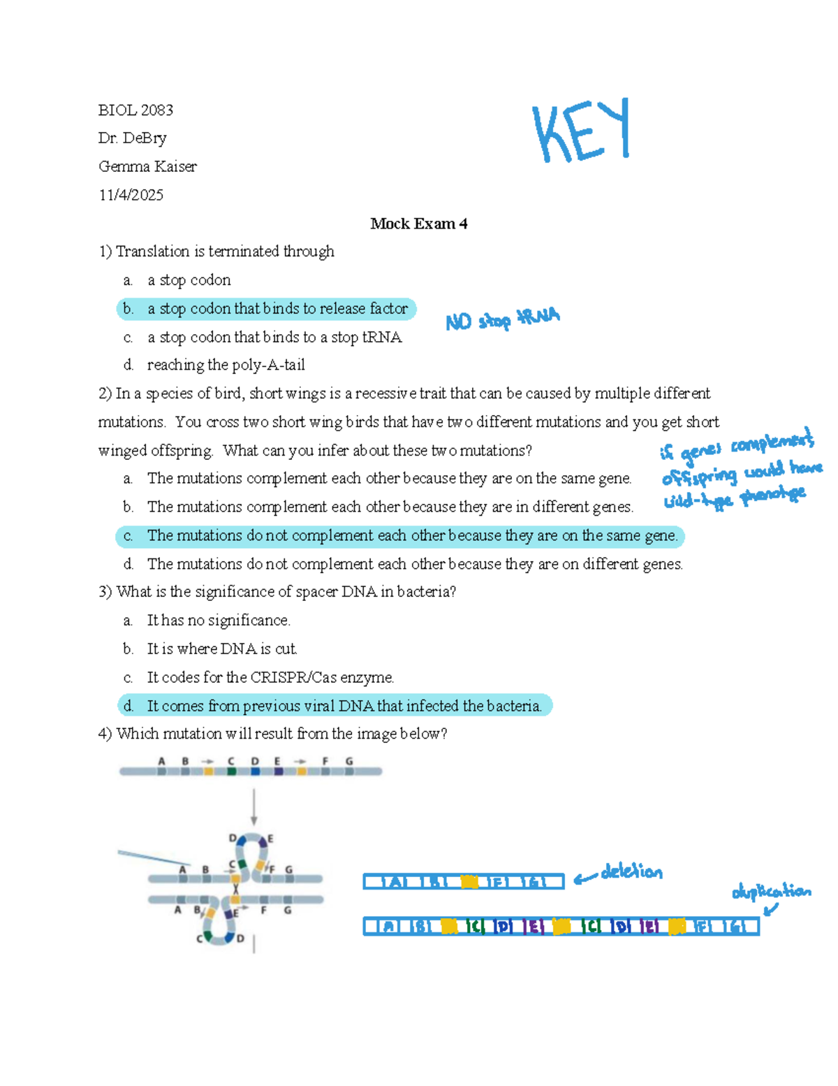 BIOL 2083 Mock Exam 4 - Genetics and Molecular Biology - Studocu