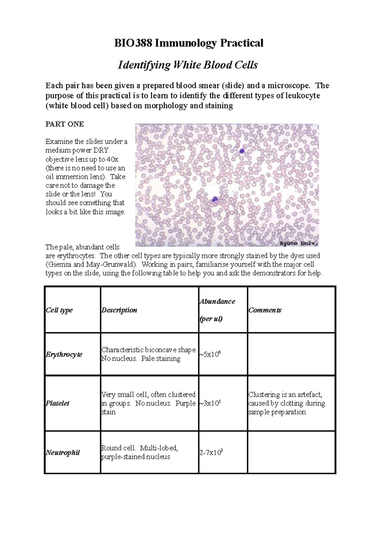 BIO388 Immunology Practical: Identifying White Blood Cells Guide 2020 ...