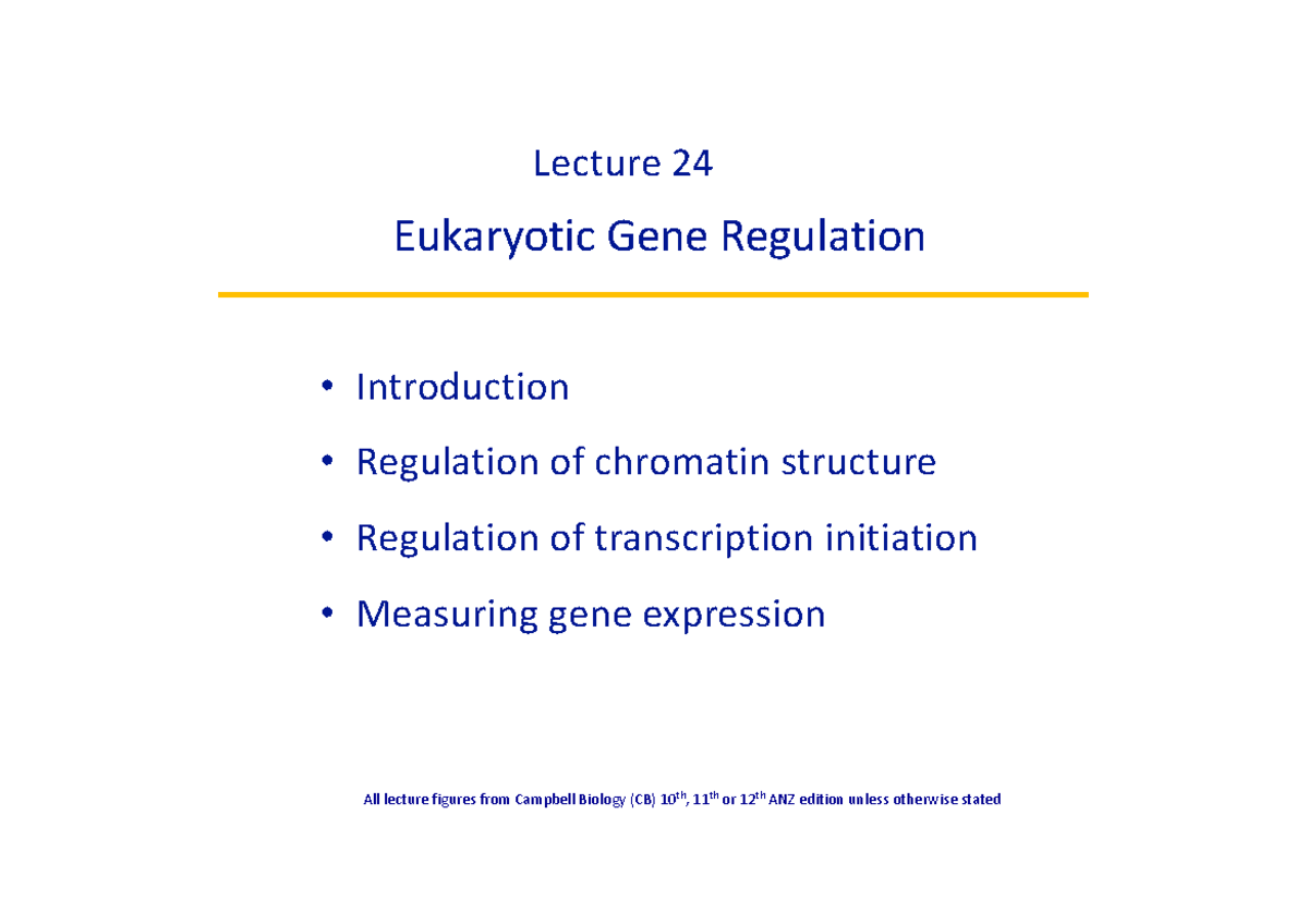 Lecture 24: Eukaryotic Gene Regulation Overview and Key Concepts - Studocu