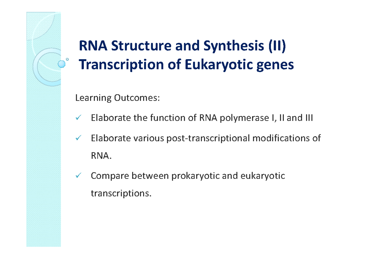 RNA Structure and Synthesis (II) - Eukaryotic Transcription Overview ...
