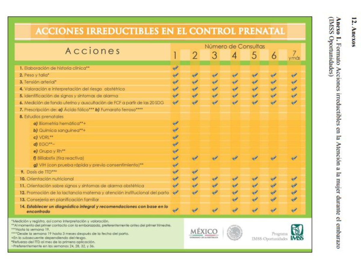 Acciones Irreductibles En El Control Prenatal