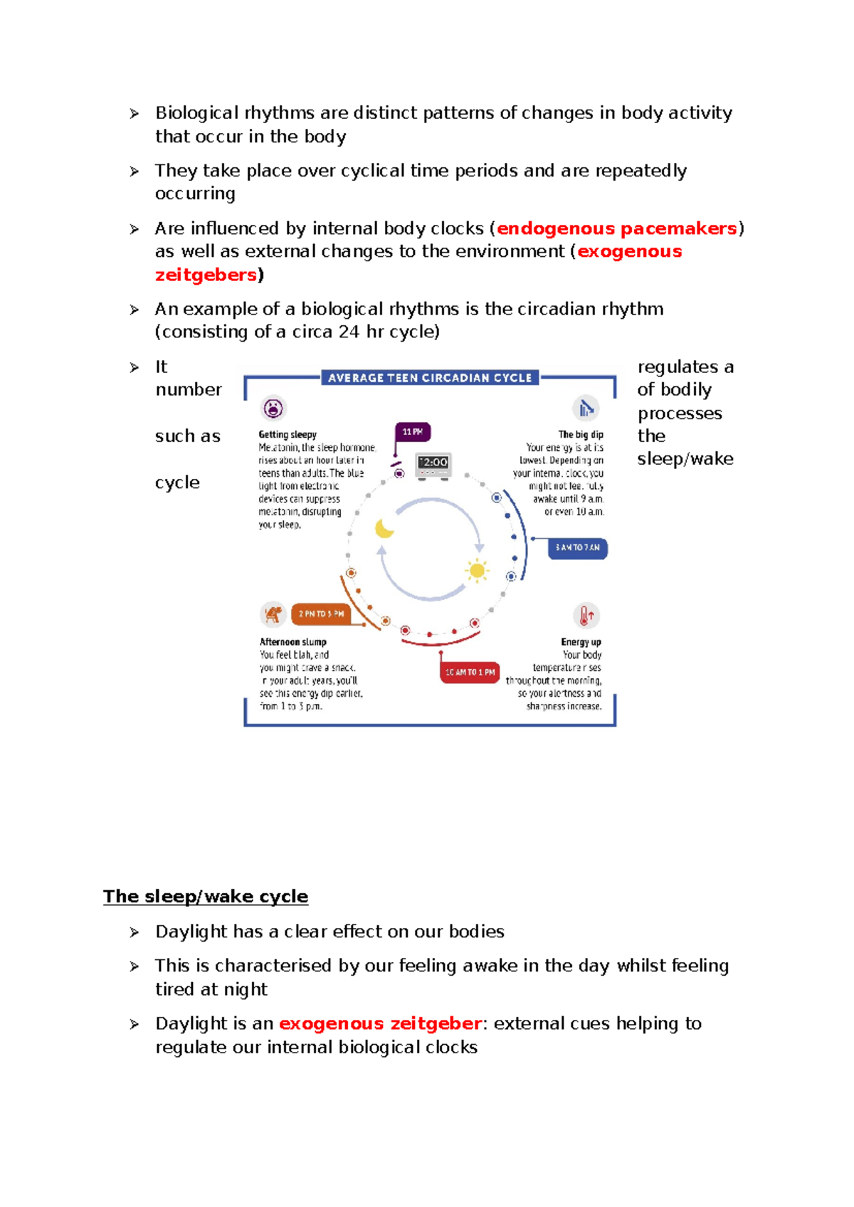 Circadian Rhythms: Understanding Biological Clocks and Their Impact ...
