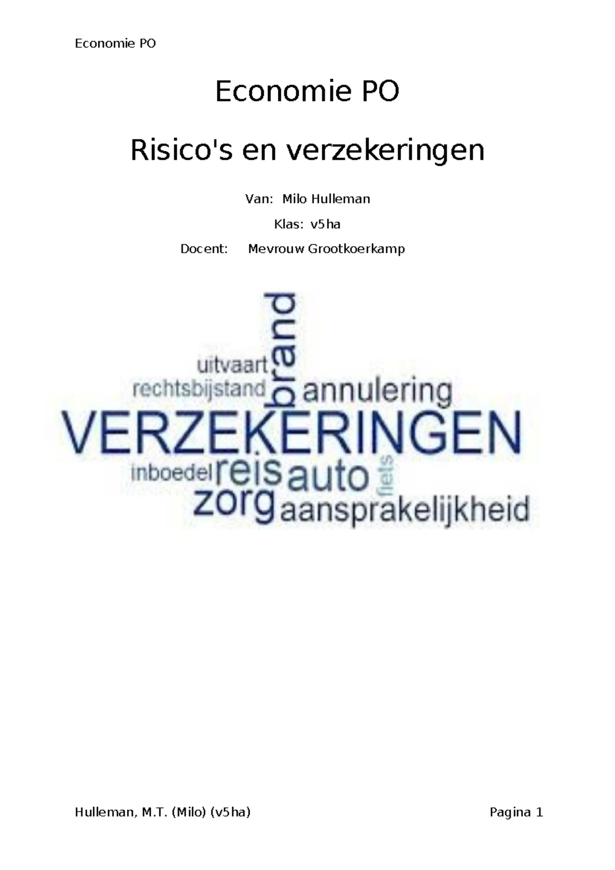 Economie PO V5HA: Risico's en Verzekeringen Analyse 5U - Studeersnel