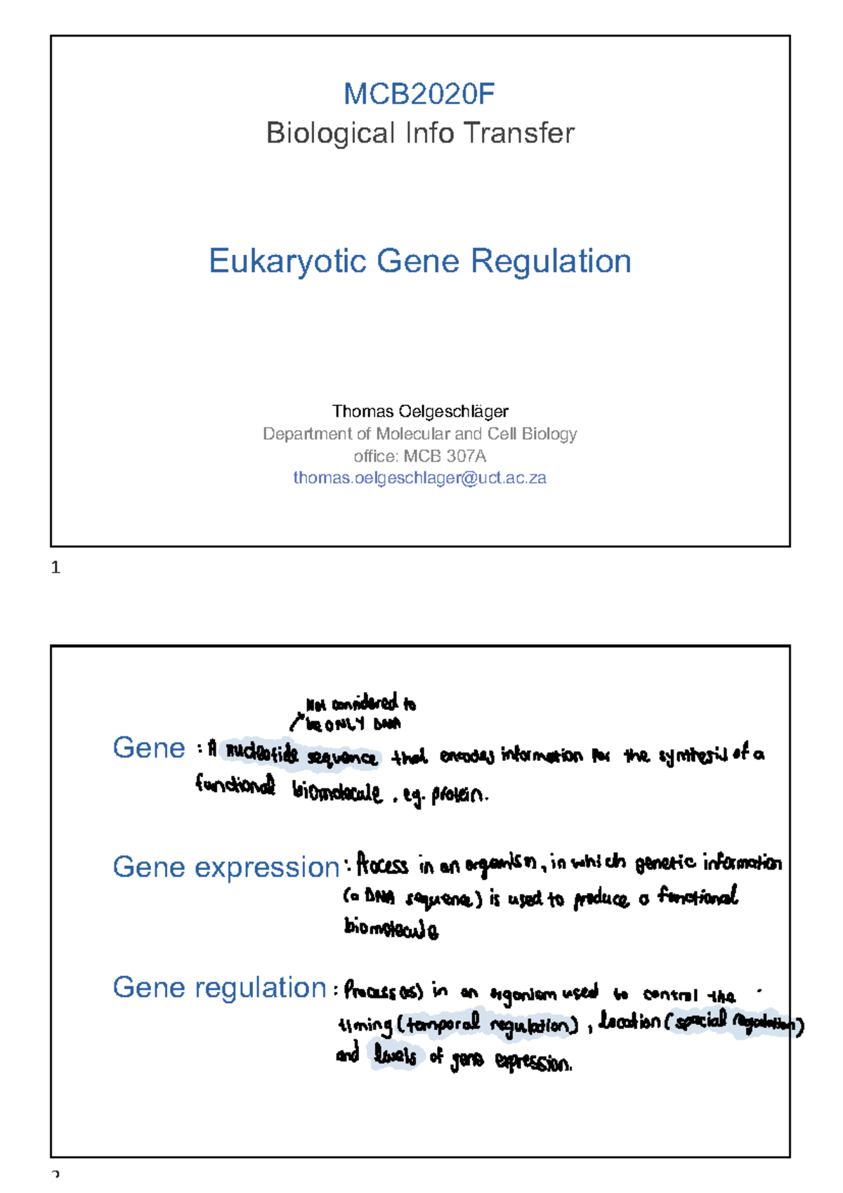 Eukaryotic Gene Regulation Overview for MCB2020F Course Notes - Studocu