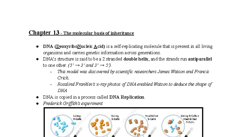 Unit 6 AP Bio Study Guide (Ch. 13-16) - Gene Expression & Regulation ...