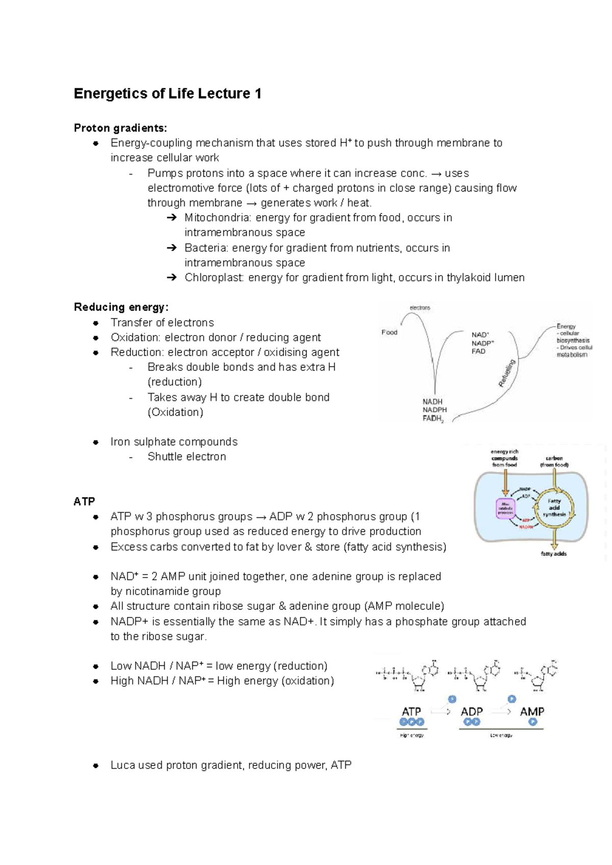Energetics of Life Lecture Series: Mechanisms of Cellular Energy - Studocu