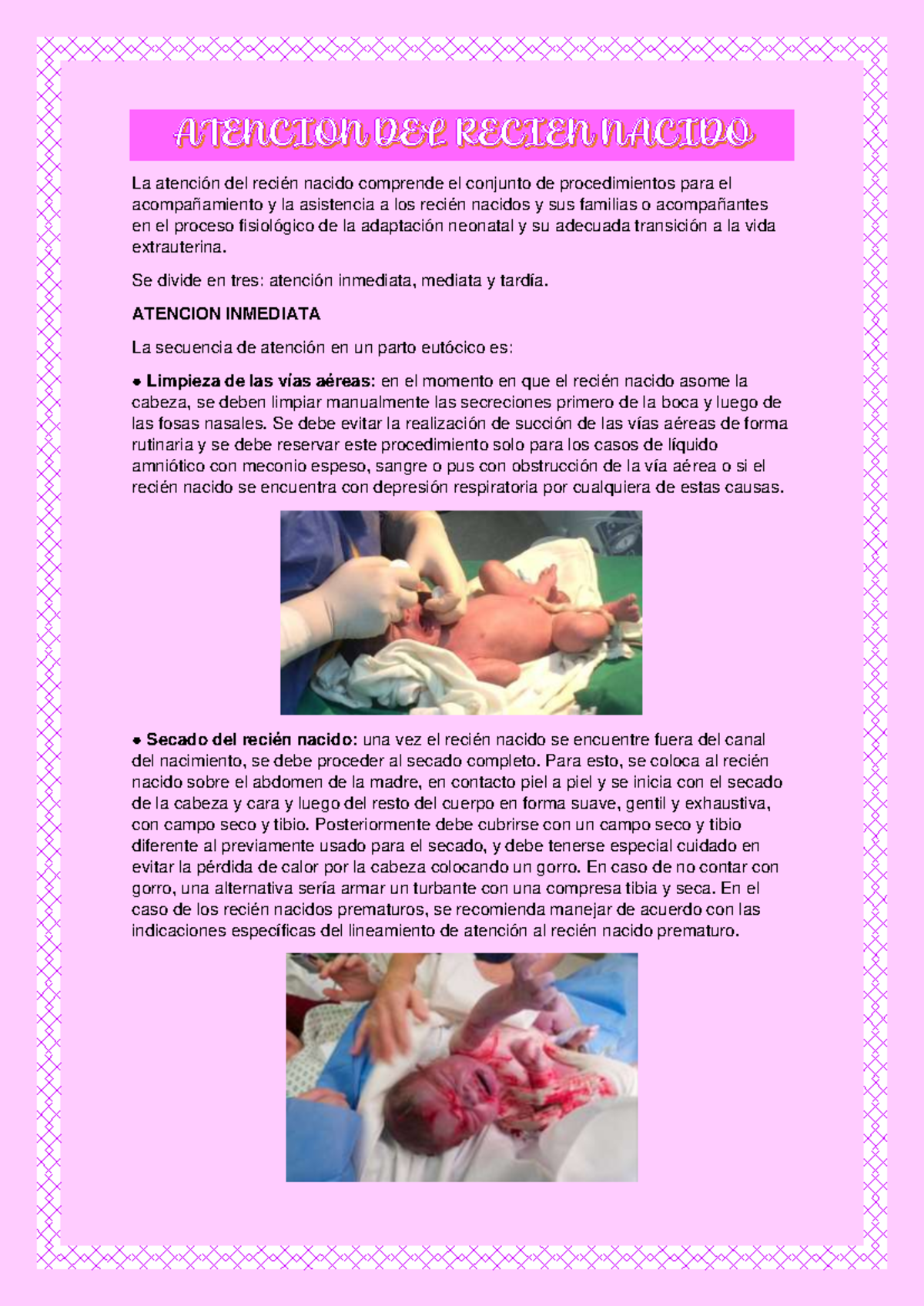 Atención y Semiología Neonatal: Guía Completa para RN - Document Preview