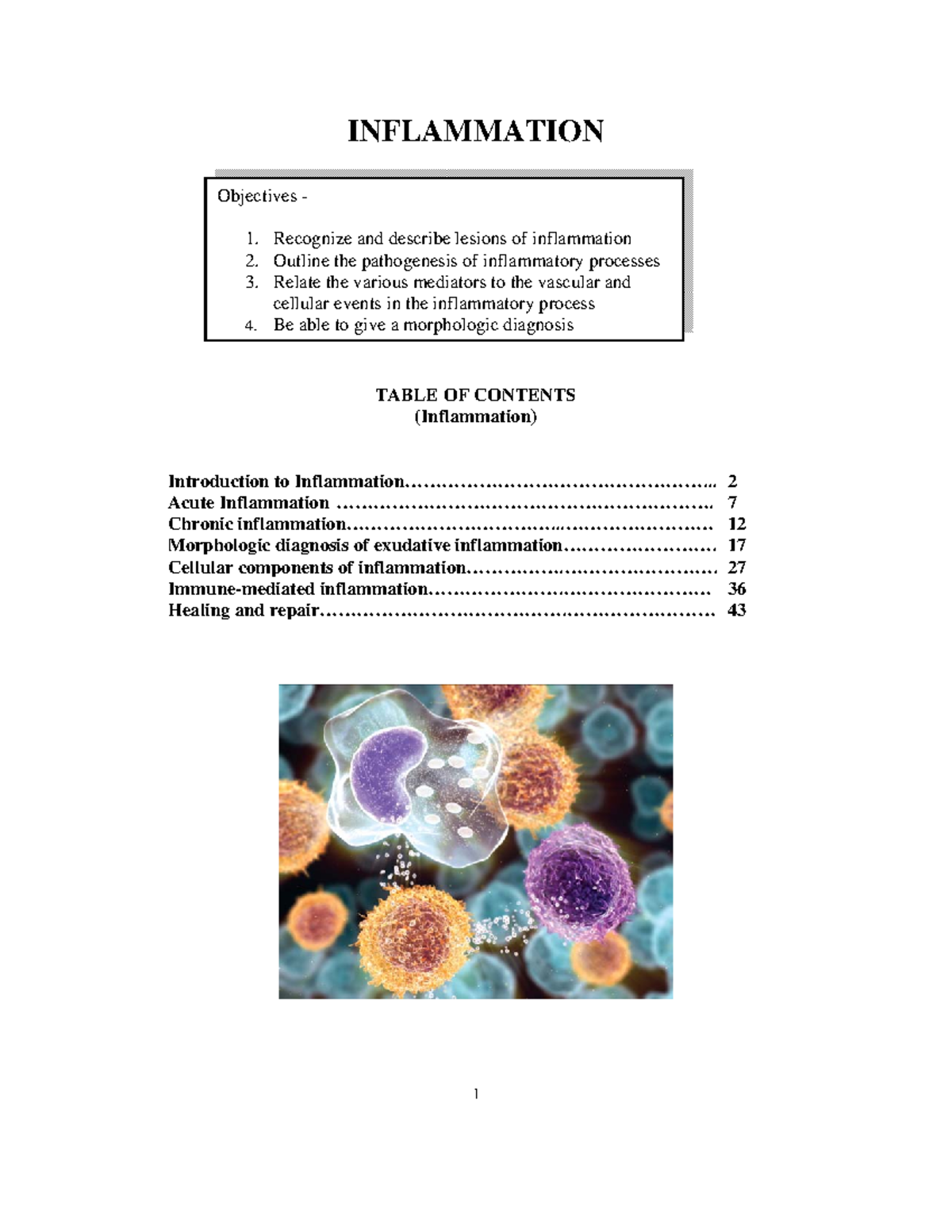Inflammation notes - INFLAMMATION Objectives 1. Recognize and describe ...