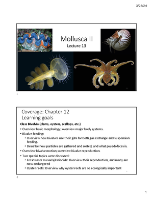 Mollusca and Annelida Study Guide: Key Concepts and Life Histories ...