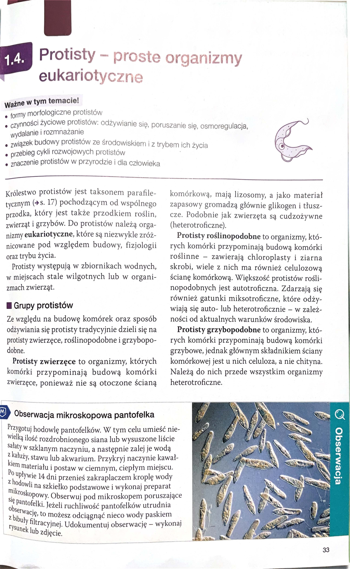 1.4. Protisty: Morfologia, Odżywianie i Rozmnażanie Eukariotów - Studocu