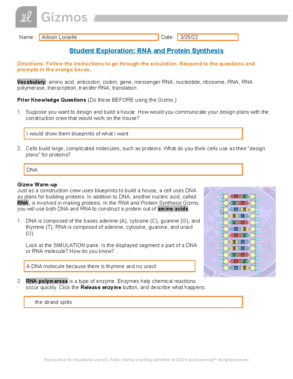 Dehydration Synthesis Gizmo - Name: Allison Loiselle Date: 2/16 ...