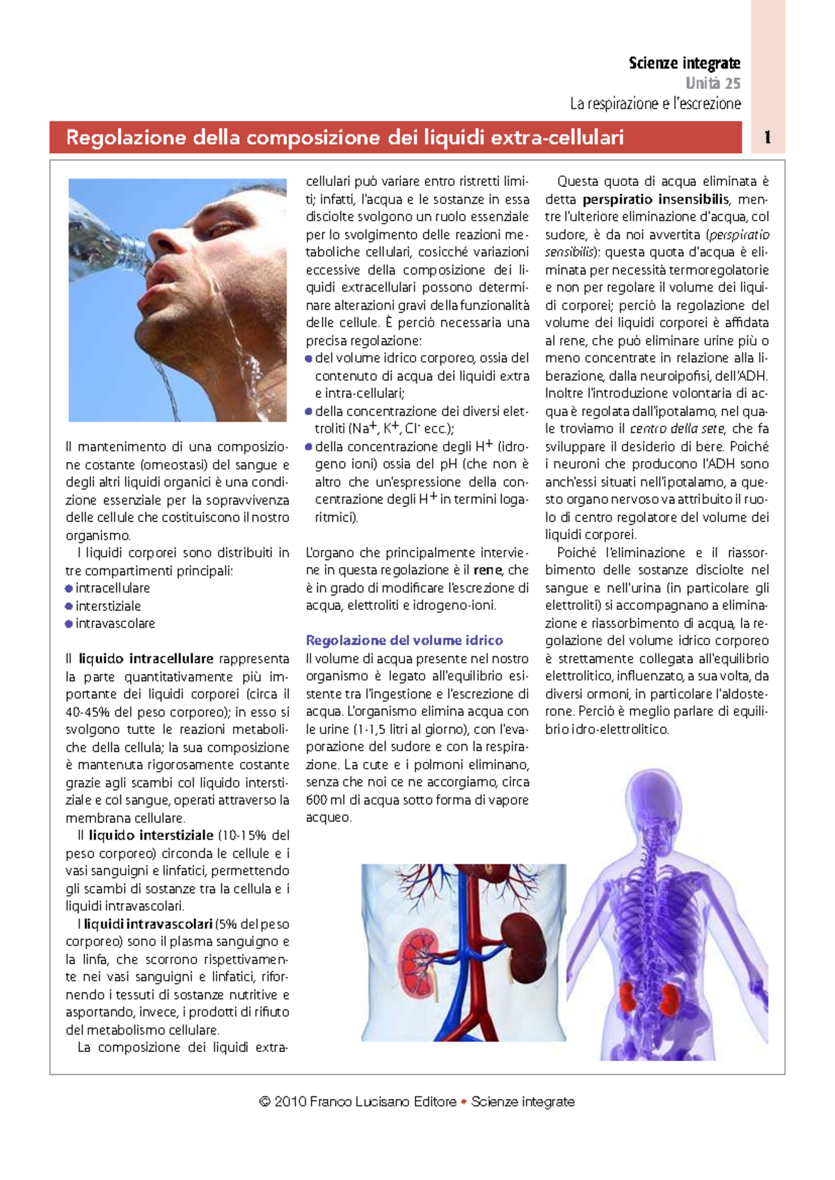 gusti liquidi sigaretta elettronica kiwi Scienze integrate Unità 25: Regolazione dell'Acqua Cellulare e Corporea