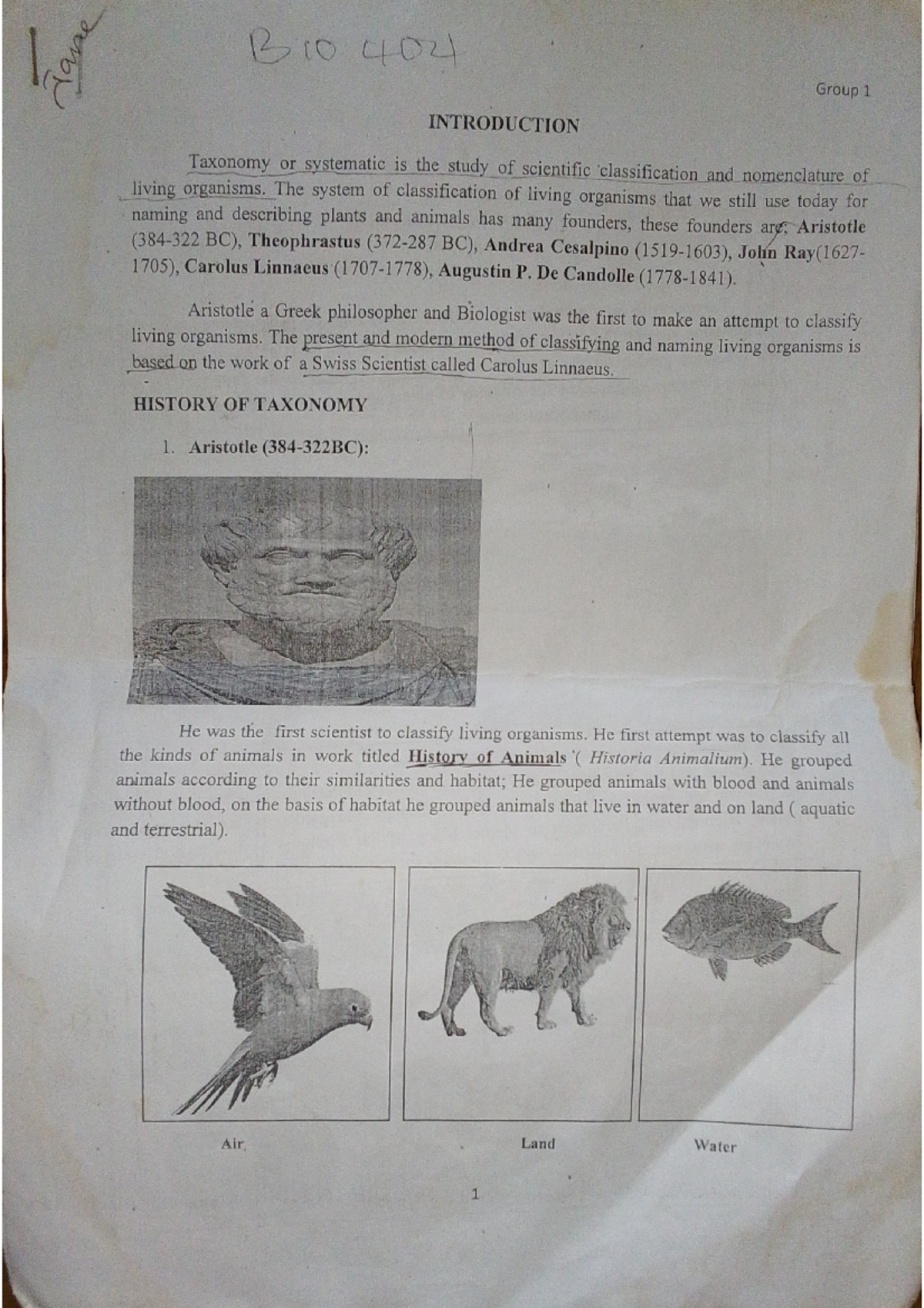 B10 402 Systematic Biology Presentation: Taxonomy and Classification ...
