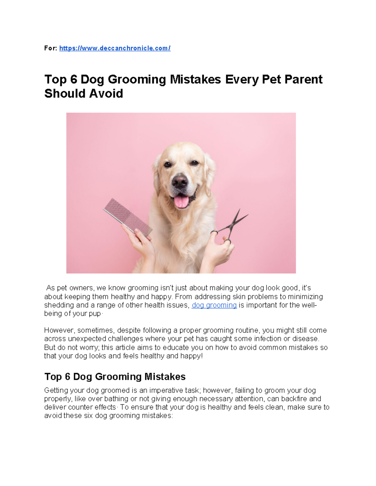 Article For Deccan Chronicle (Top Dog Grooming Mistakes Every Pet ...