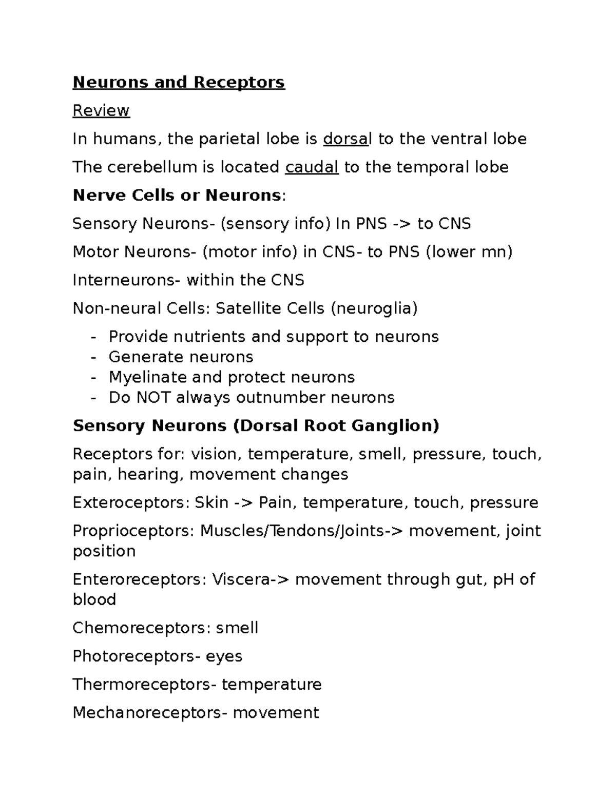 Neurons and Receptors: A Comprehensive Overview (Bio 101 Review ...