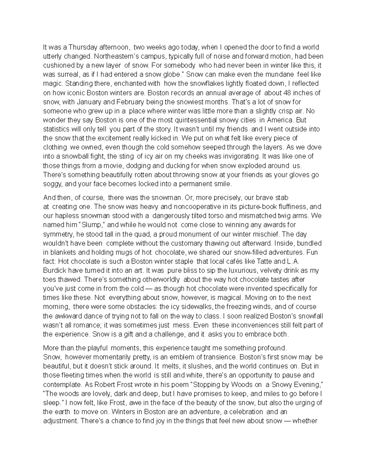 Bostons first snow - example of a review essay - It was a Thursday ...
