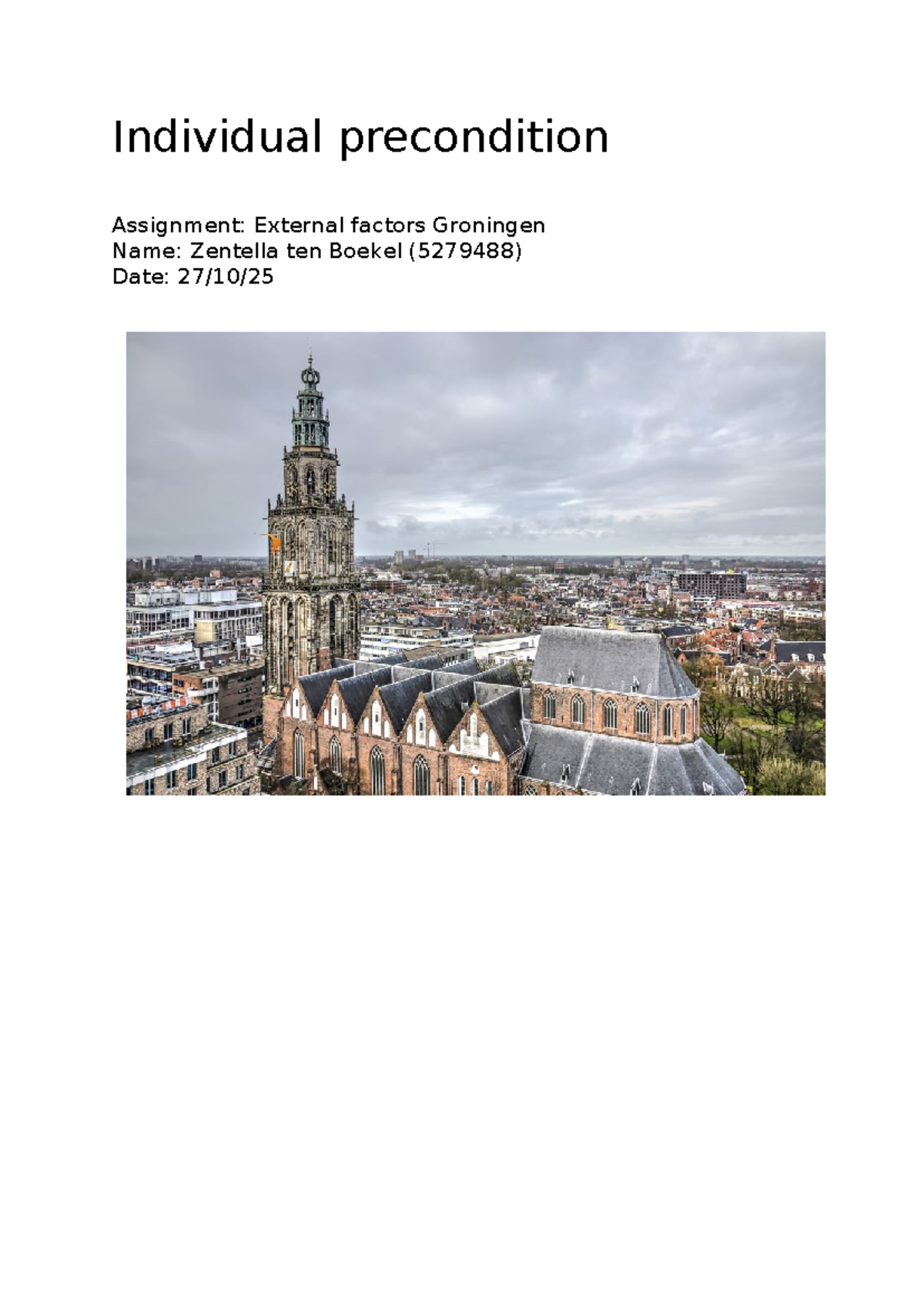 Resit Individual Precondition Assignment: External Factors in Groningen ...