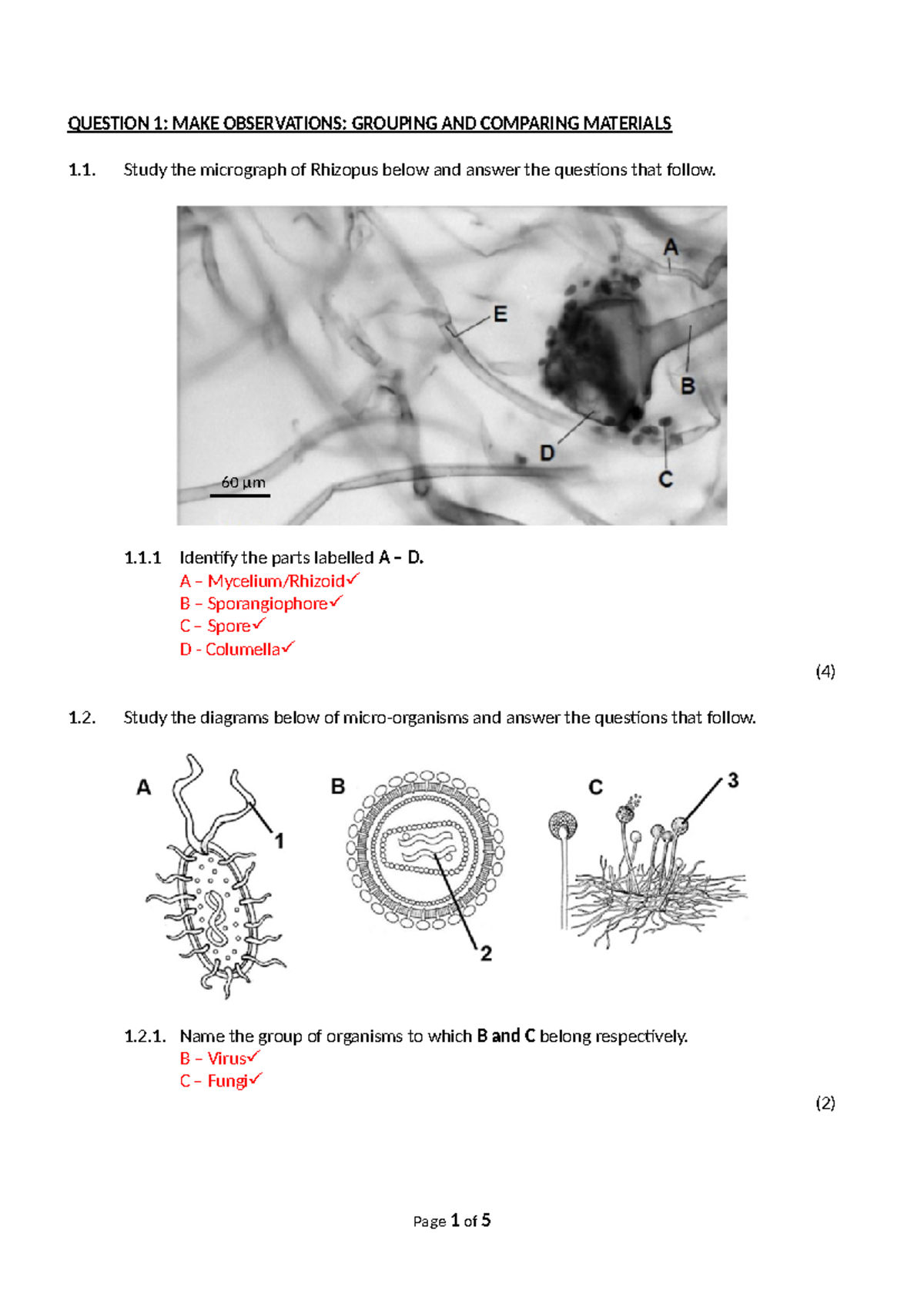 Life Sciences G11 Term 1 2025 Task 1 Practical Memo - Studocu