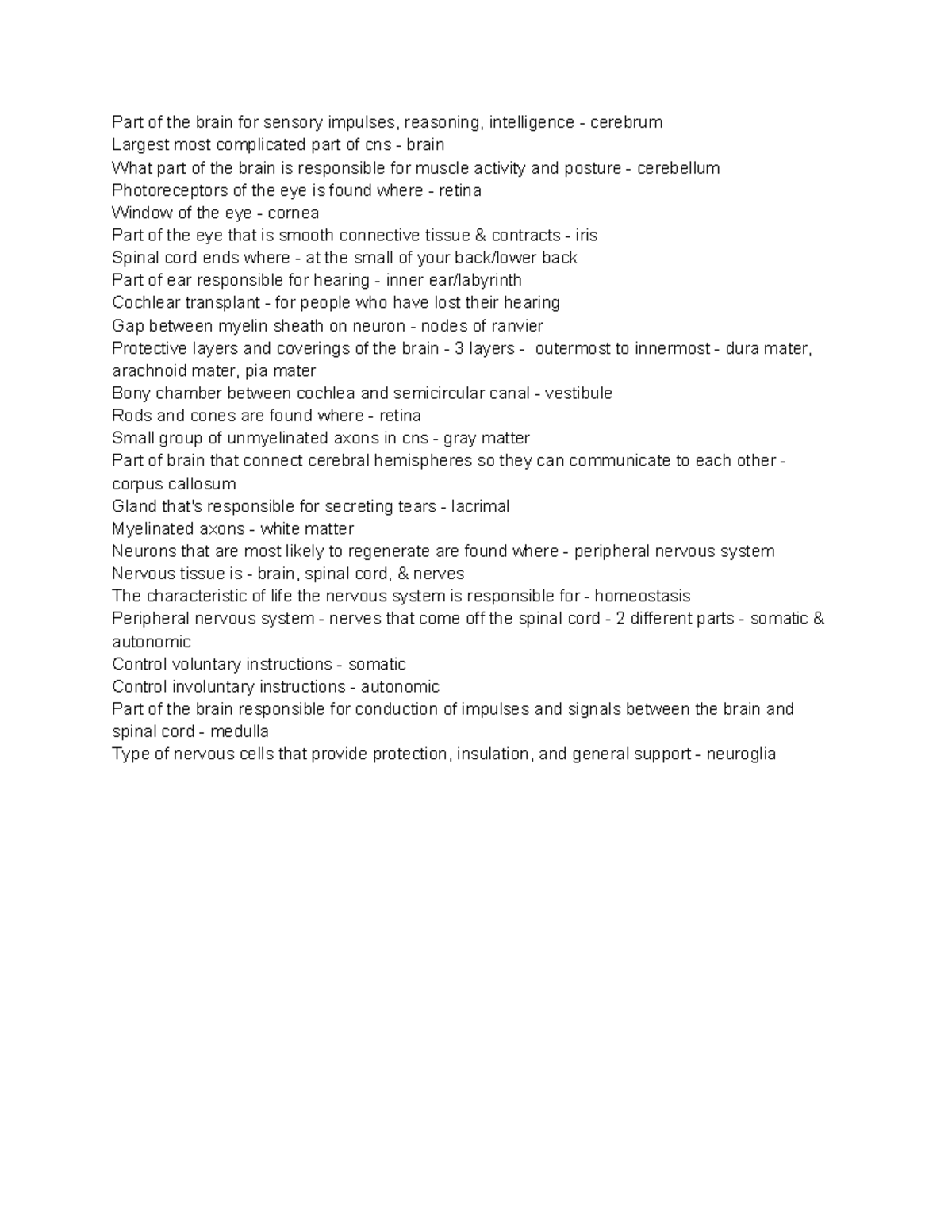 A&P Test 5 Study Guide: Brain Structure & Function Insights - Studocu