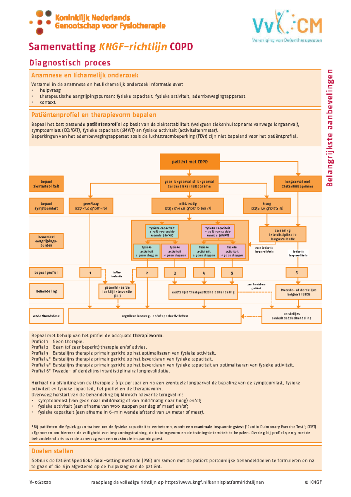 Samenvatting KNGF-richtlijn COPD: Anamnese en Onderzoek - Studeersnel