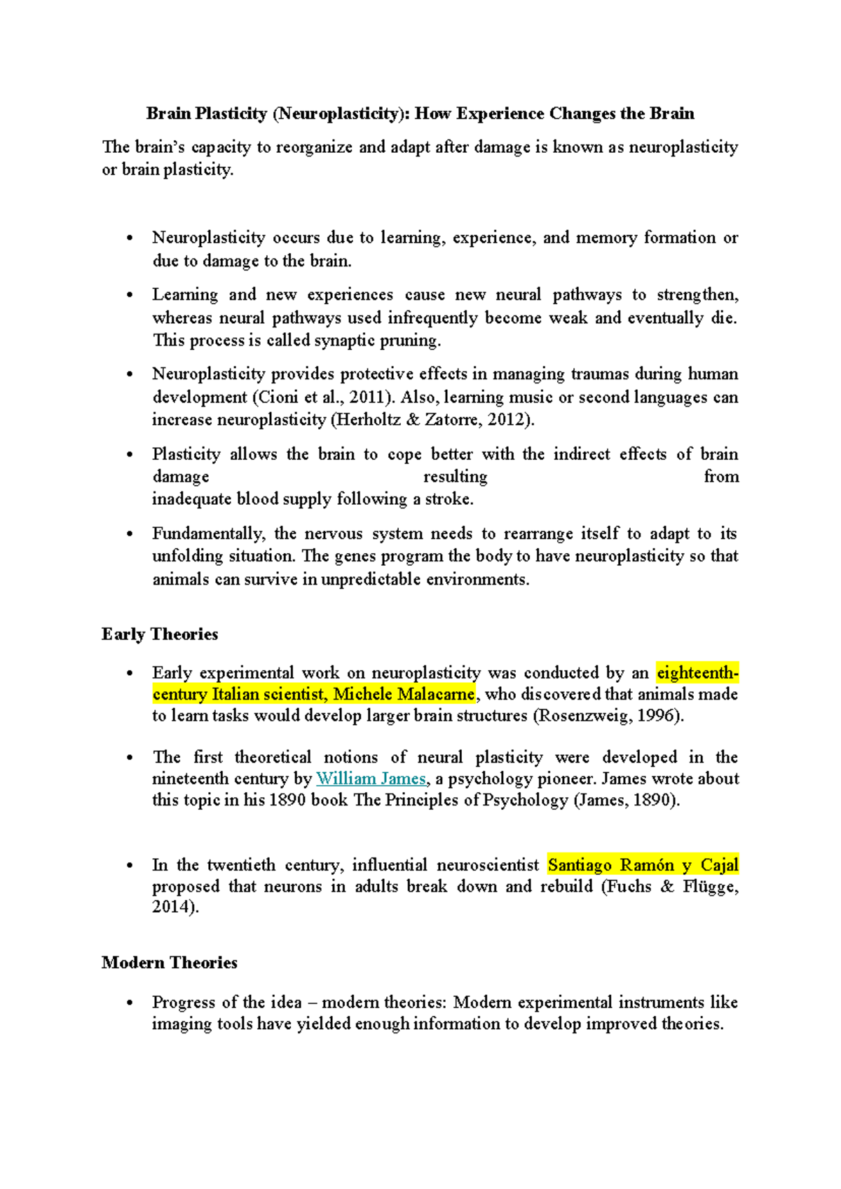 Brain Plasticity - Neuroplasticity occurs due to learning, experience ...