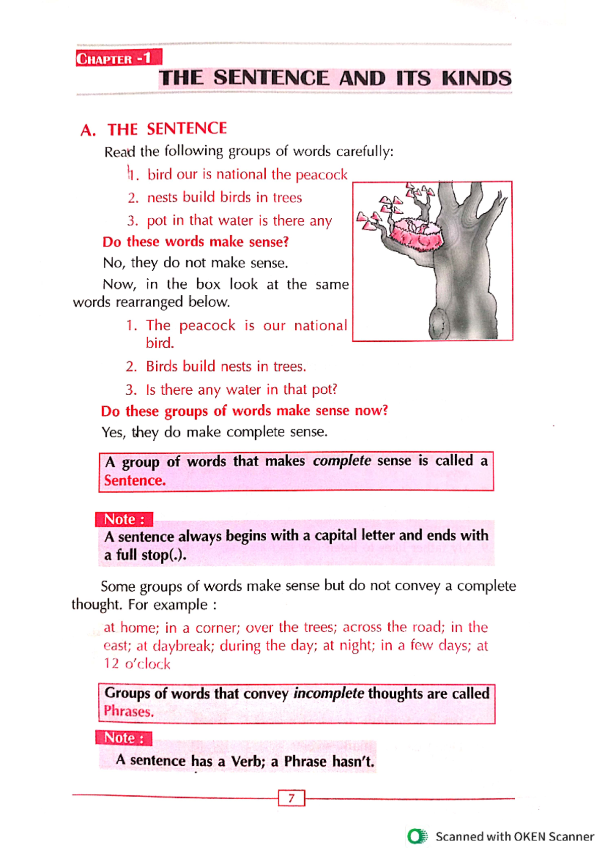 ENG - English Lecture Notes on Sentences and Articles - Studocu