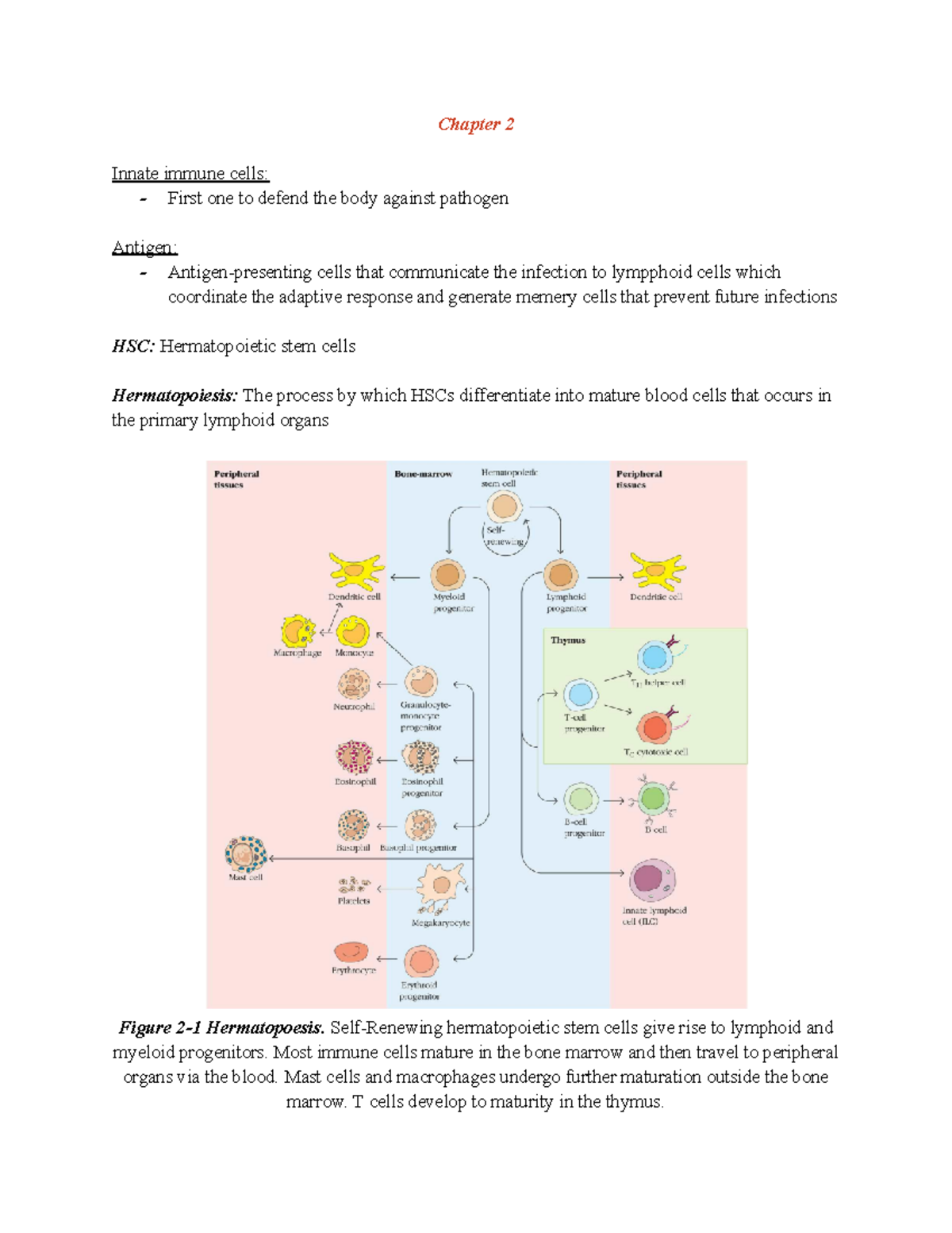 Immunology Lecture 2: Innate Immune System and Blood Cell Composition ...