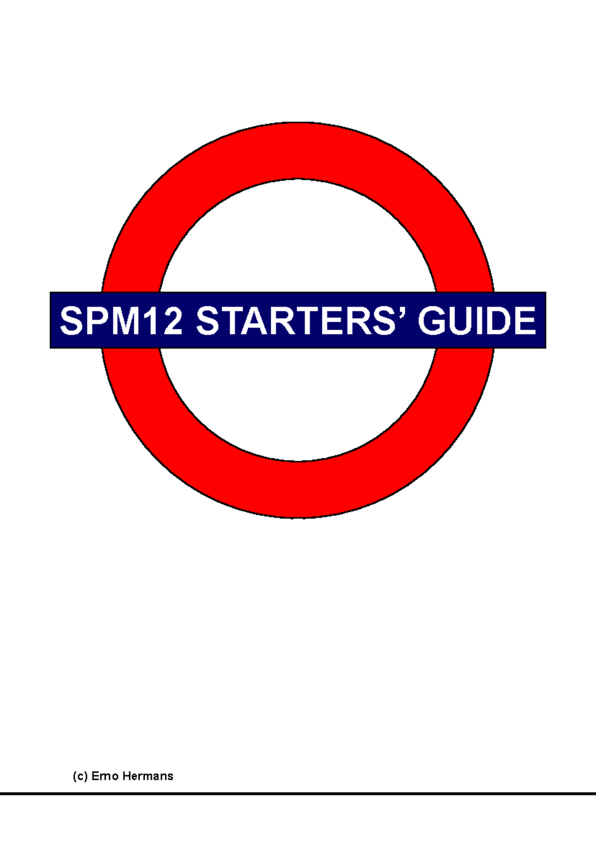 SPM12 Starter's Guide: Essential Functions for Spatial Processing ...