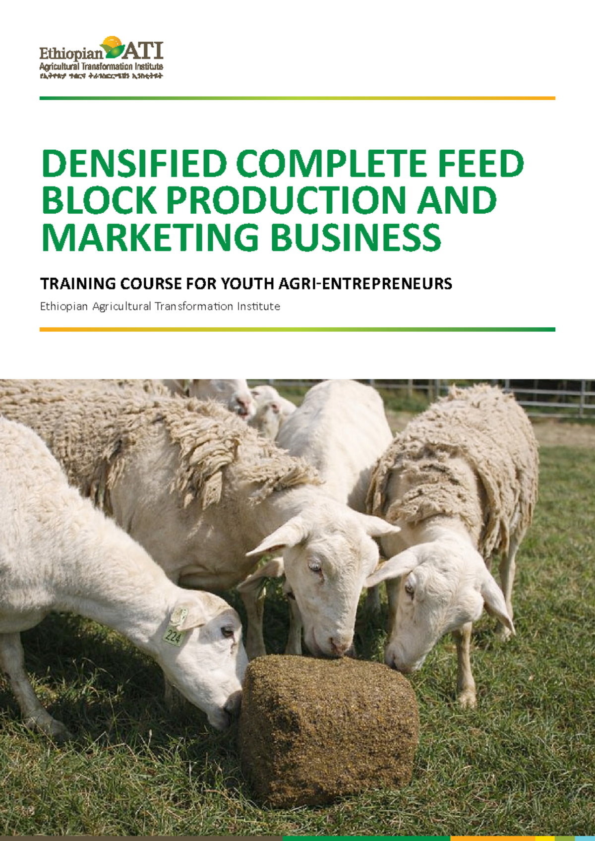 Densified Complete Feed Block Production & Marketing Course (2025 ...
