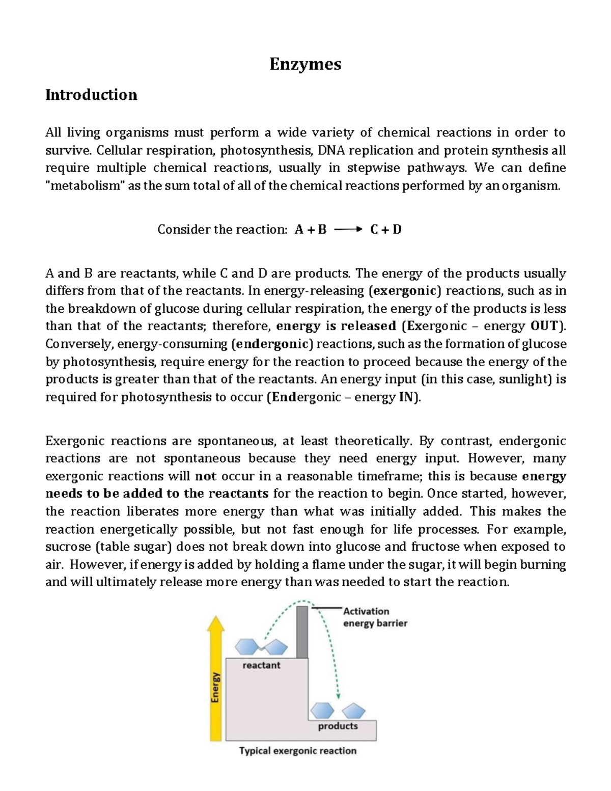 Enzyme Activity Analysis Lab: Investigating Catalase Factors - Enzymes ...